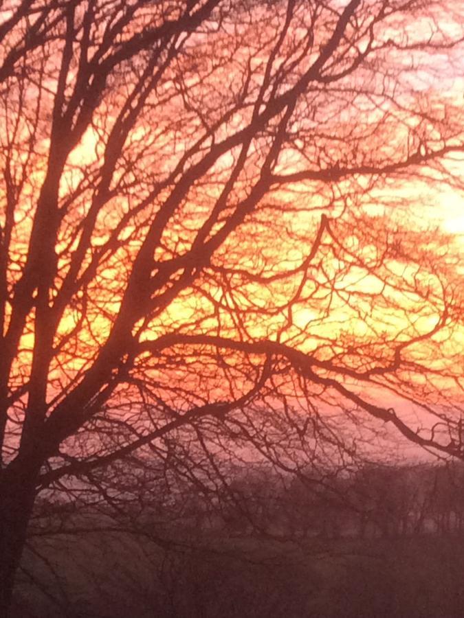 School Farm Bed and Breakfast Blagdon Esterno foto